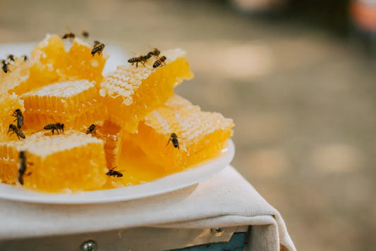 Close-up of honeycomb pieces with honeybees on a white plate outdoors