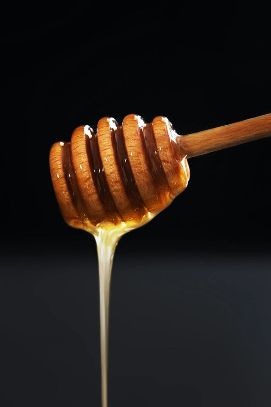 Close-up of wooden honey dipper dripping golden honey against black background