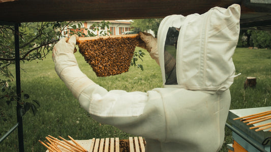 a man in a bee suit holding a beehive
