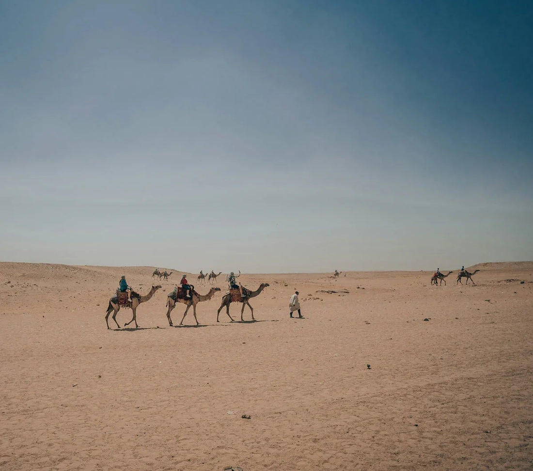 Desert landscape with camel caravan and riders led by a guide under clear blue sky