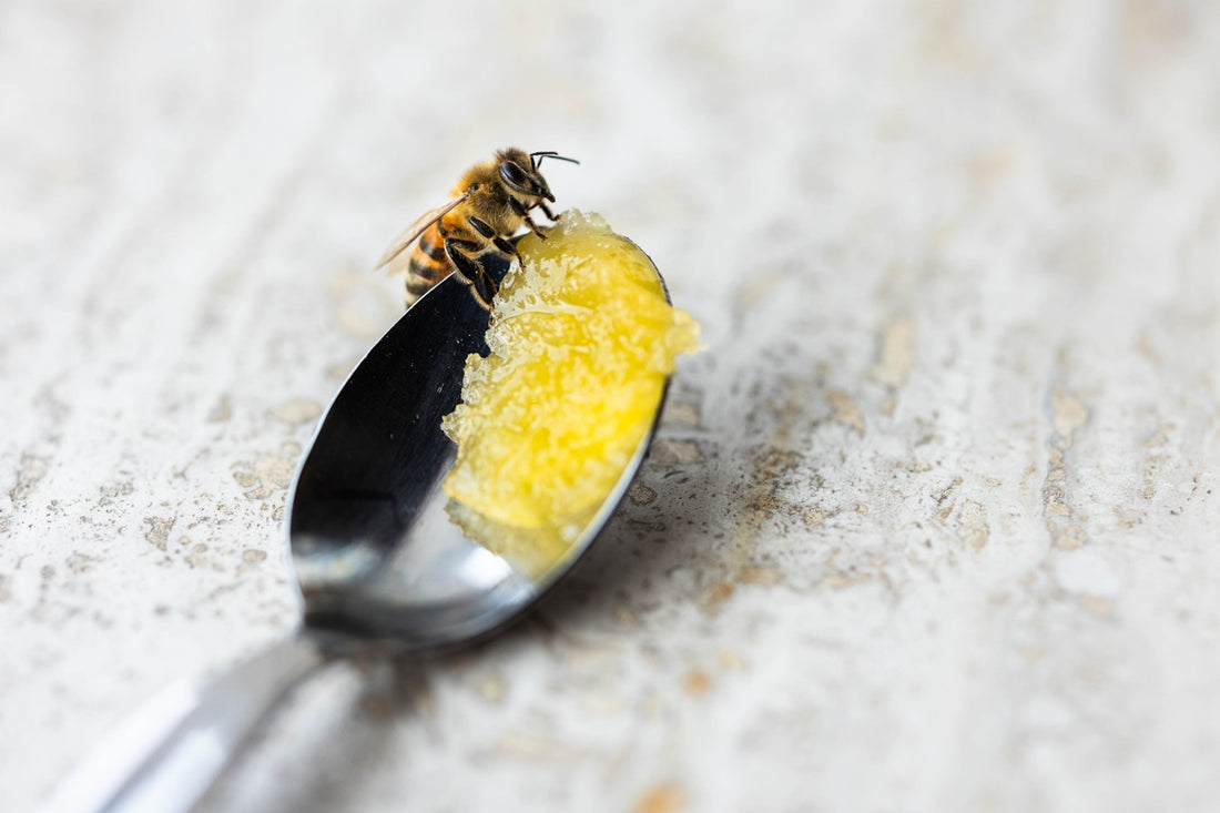a close up of a spoon with food on it