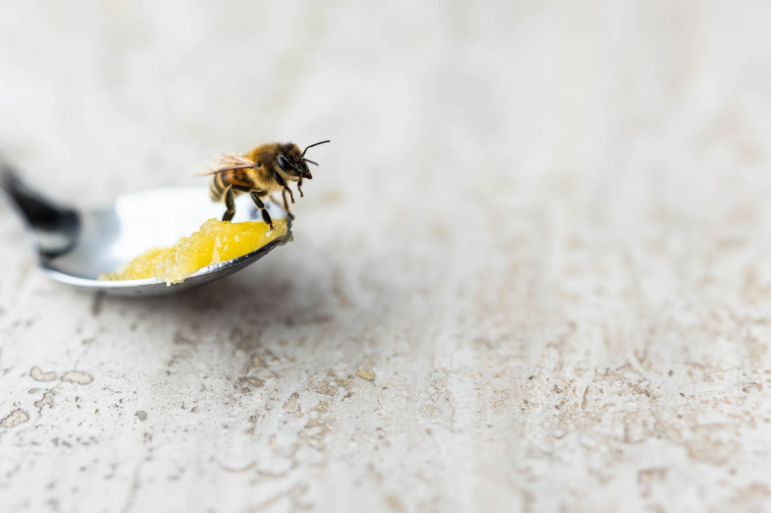 a close up of a spoon with a bee on it