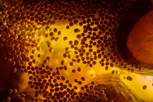 A close up of a piece of fruit on a table