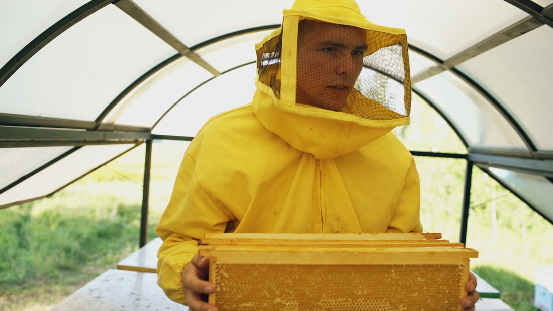 Beekeeper in yellow suit holding honeycomb frame