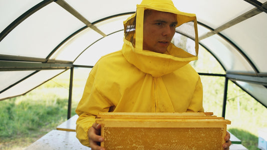 Beekeeper in yellow suit holding honeycomb frame