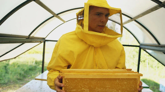 Beekeeper in yellow protective suit holding honeycomb frames inside a greenhouse with greenery outside
