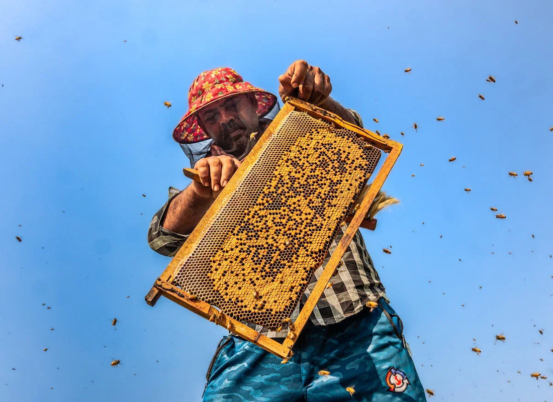 Beekeeper in colorful hat holding honeycomb frame with bees flying against blue sky