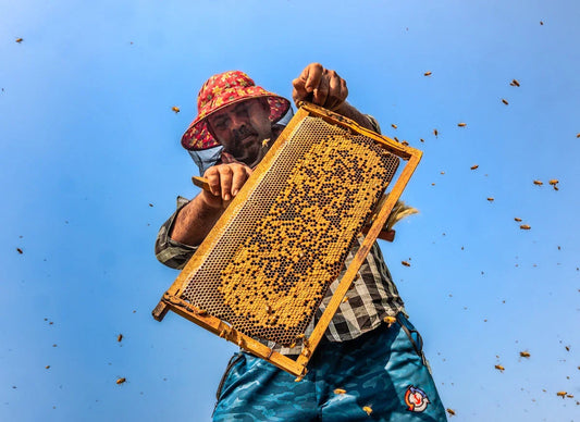 Beekeeper in colorful hat holding honeycomb frame with bees flying against blue sky