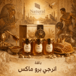 باقة انرجي برو ماكس